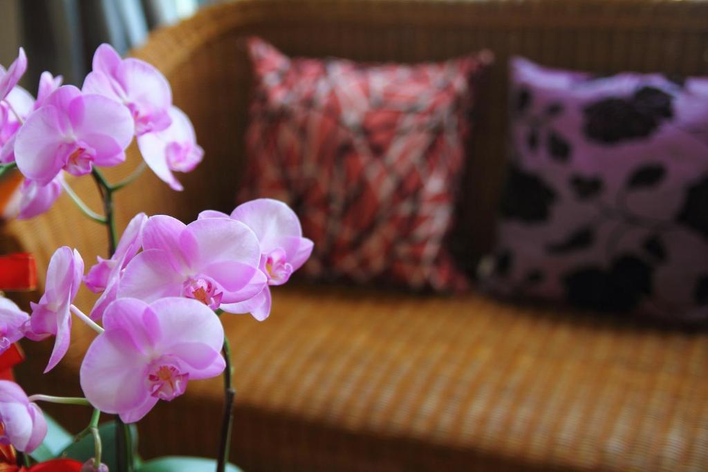 Jimei Homestay Cát An Ngoại thất bức ảnh